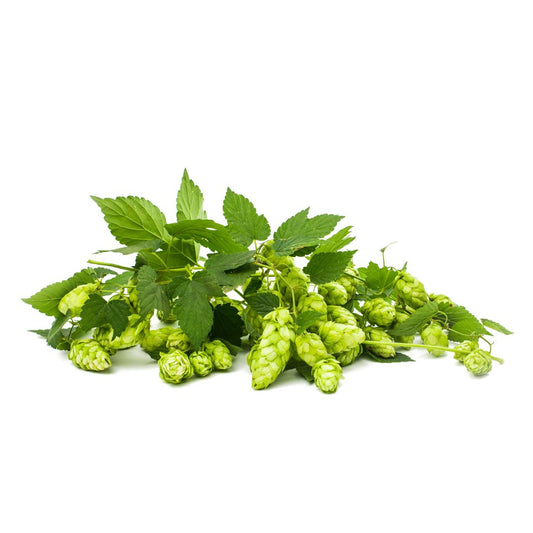 Horizon Hop Plant