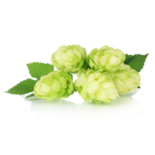 Triumph Hop Plant