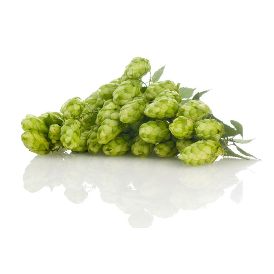 Northern Brewer Hop Plant